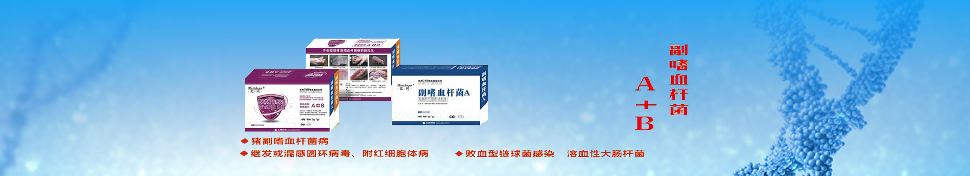 電腦版匯鑫禽藥頁廣告圖片